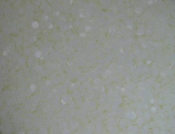 Cosmoloid H80 Mikrokristallines Wachs